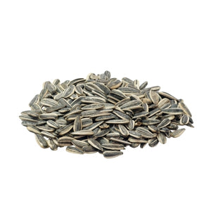 Sunflower Seeds (تخم سورج مکھی)